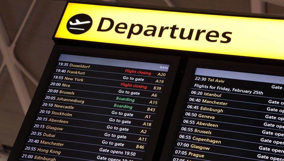 Flight delayed or cancelled by 'bird strike'? Compensation could be on the way...