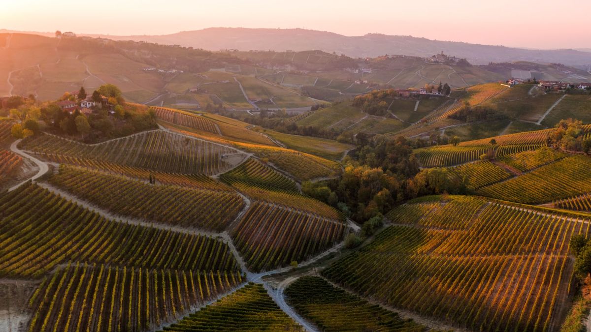For Italy’s Barolo wine country, and nebbiolo, 2016 was a perfect year
