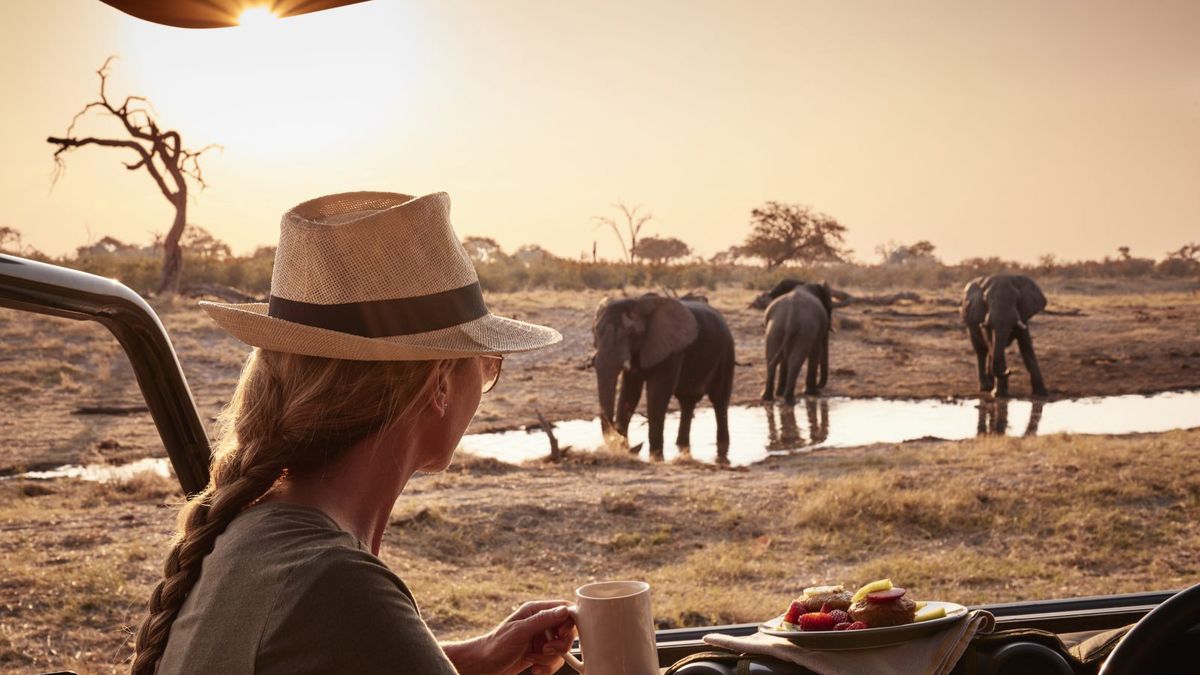 Untamed indulgence: the best luxury safari lodges in Africa