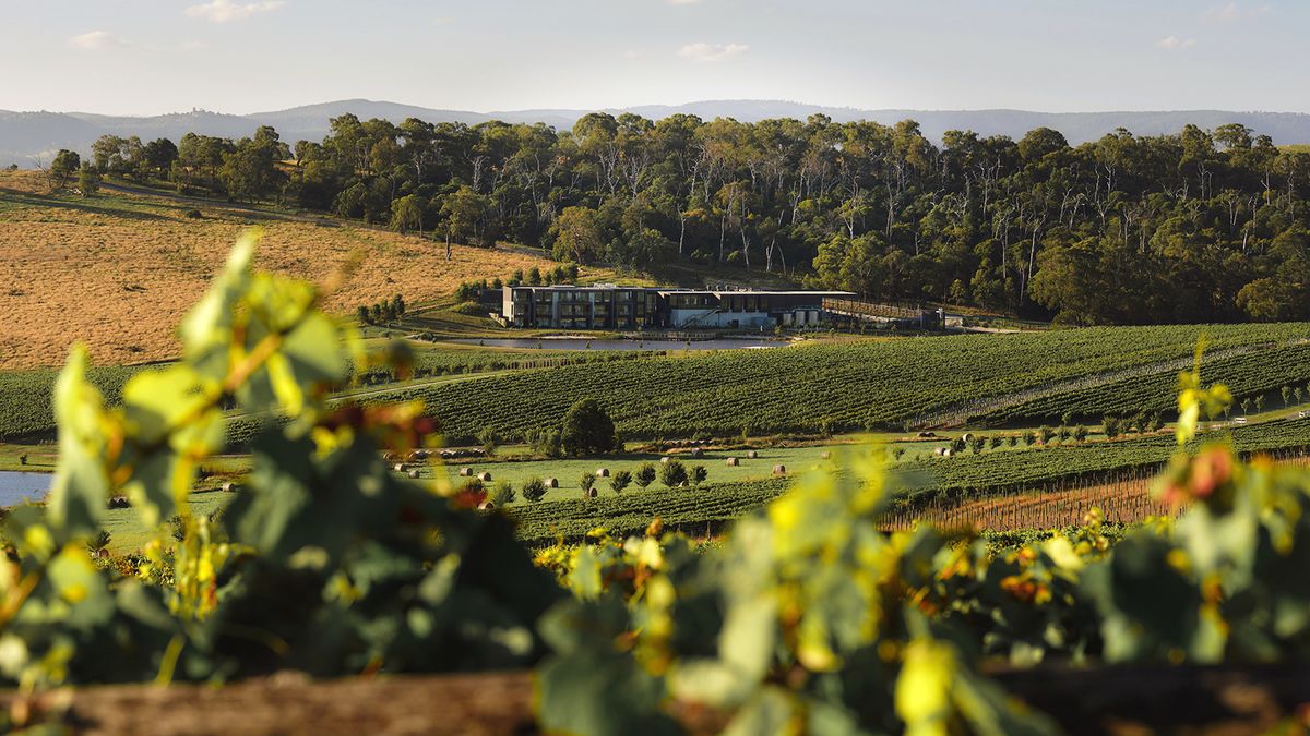 Raise a toast at Australia’s best winery hotels and lodges 
