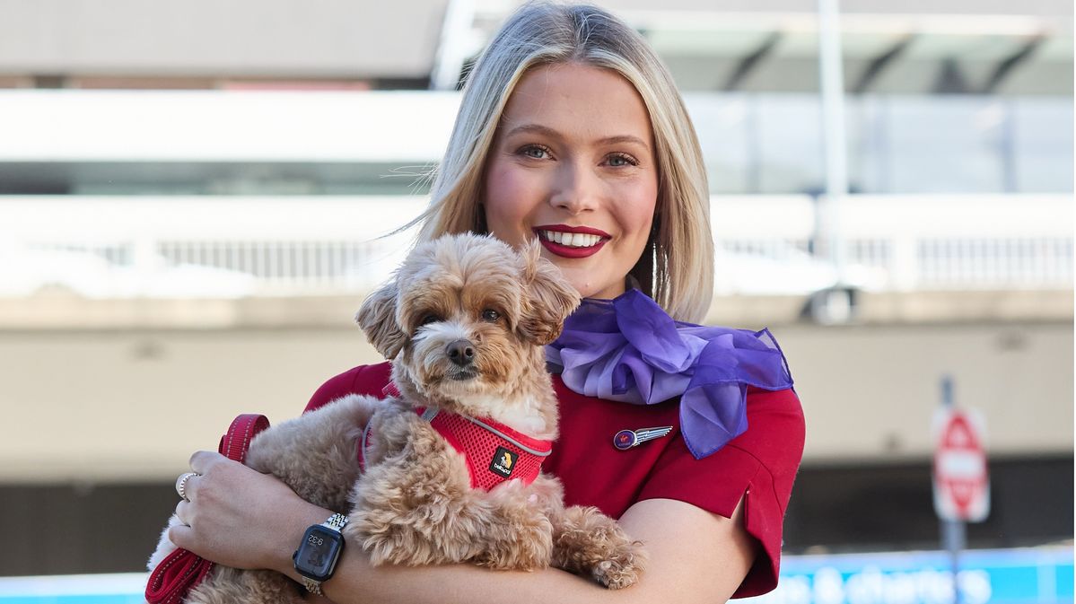 Dogs on a plane: Virgin launches pet-friendly flights