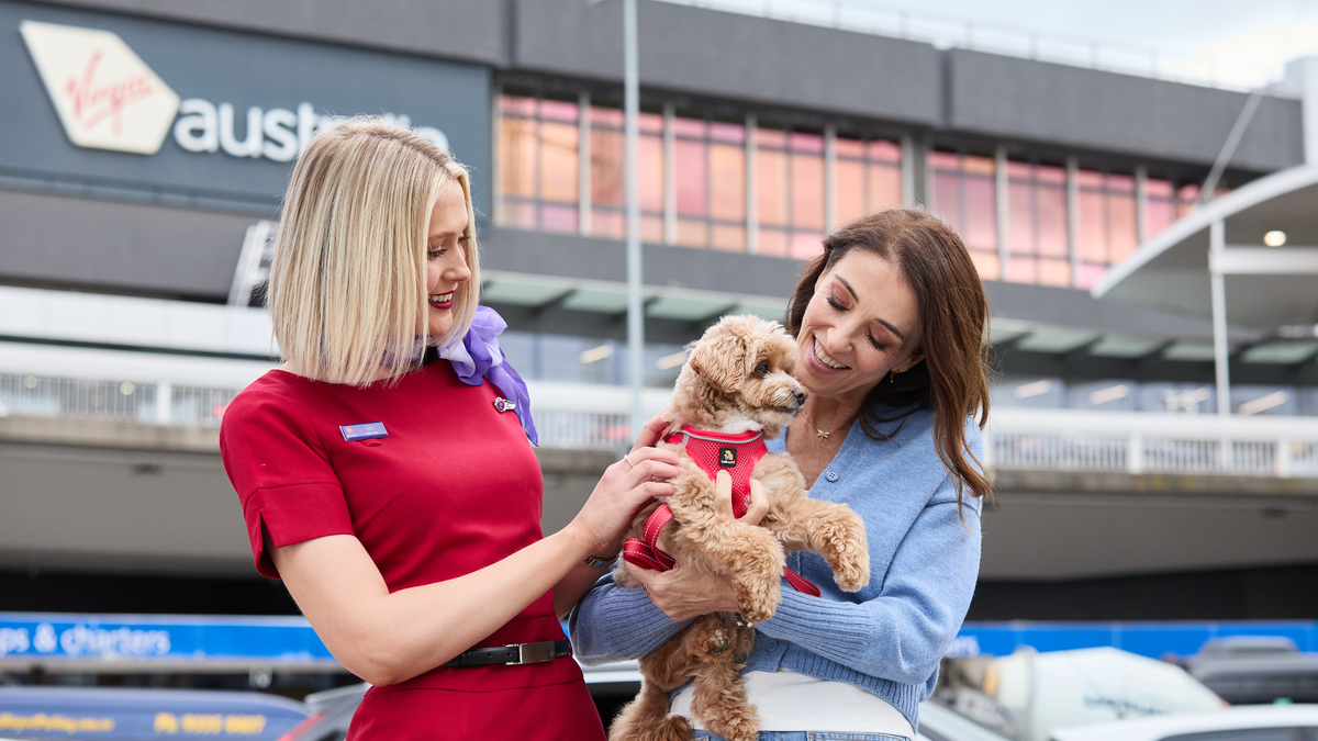 Virgin brings ‘pets on planes’ flights to Adelaide
