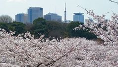 Is it safe to go to Japan yet? 