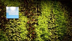 AMEX Membership Rewards explained