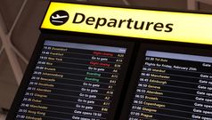 Compo for 'bird strike' delays?
