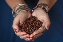 Where in the world do you find the best coffee?