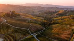 For Italy’s Barolo wine country, 2016 was a perfect year