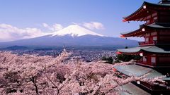 Qantas, Virgin seek delayed take-off for new Tokyo flights