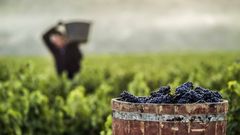 Uncovering the real Rioja