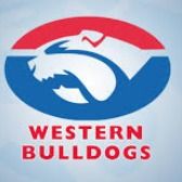 godoggies