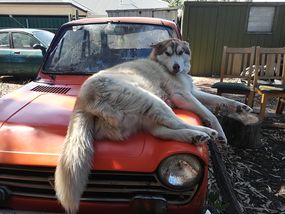 YO