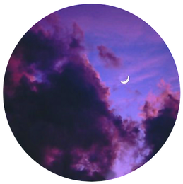 Skynest101