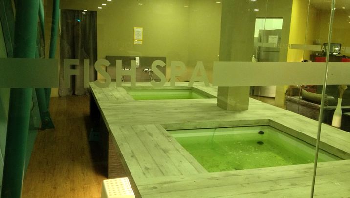 Airport Wellness Oasis Lounge Singapore