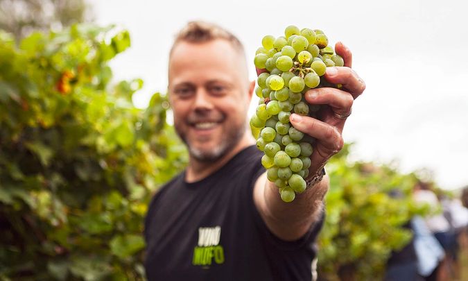 From grape expectations to a wine juggernaut