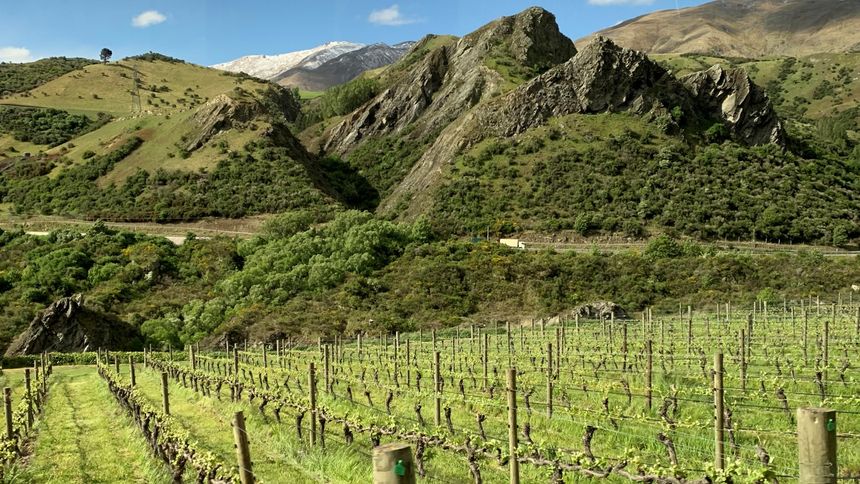 Wine lovers will want to immerse themselves in the region's famous viticulture scene.