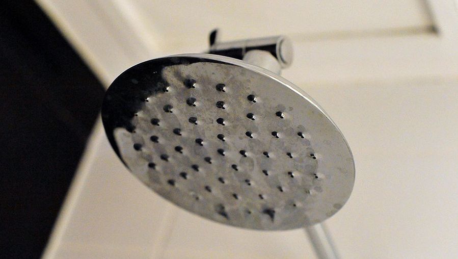 Rainforest showerhead. Nice.