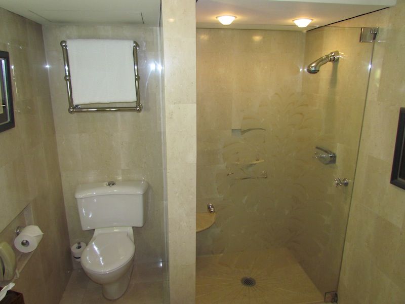 Nice to see a separate shower, although it could do with a spray wand rather than just a fixed head.