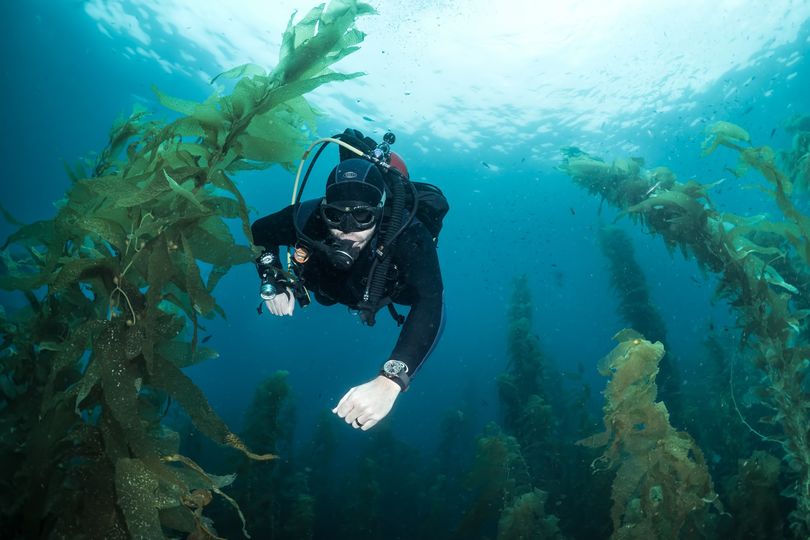 There are still plenty of good reasons to dive with a dive watch.