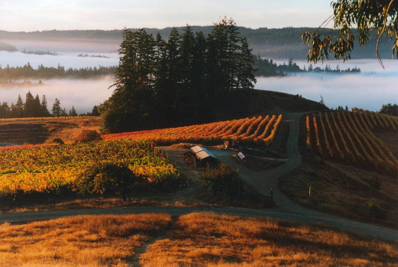 Peay Vineyards, in the northern part of the West Sonoma Coast, makes several pinot noirs, chardonnay, syrah, and more.