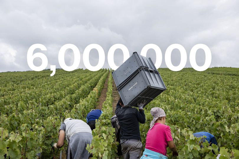 The company now produces more than 6 million bottles annually, exporting to 150 countries.