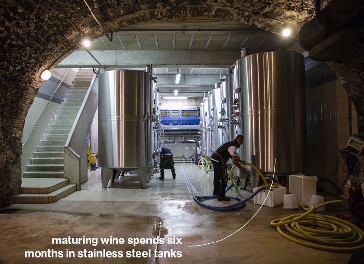The wine spends typically six months in stainless steel tanks before going for bottling and further maturation. Small amounts of its wines spend up to three months in new oak barrels.