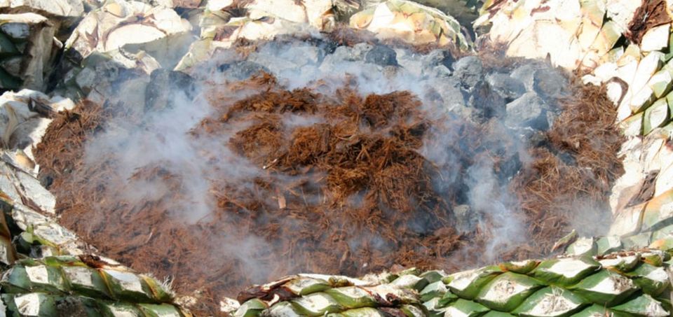 Agave hearts are charred in giant fire pits in local villages.