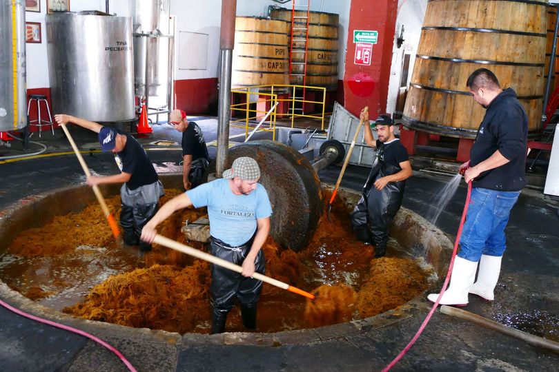 A millstone is used to extract the spicy juice that forms the basis for mezcal.