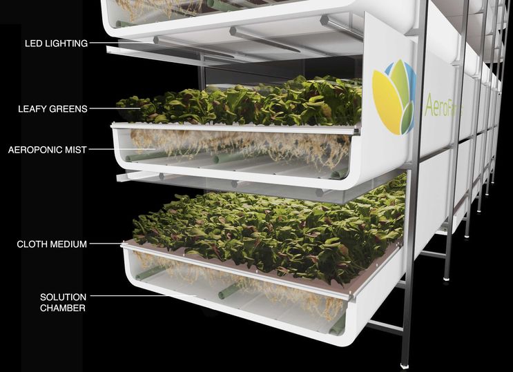 Aeroponic greens will feature on the menu of Singapore Airlines' flights from the US.