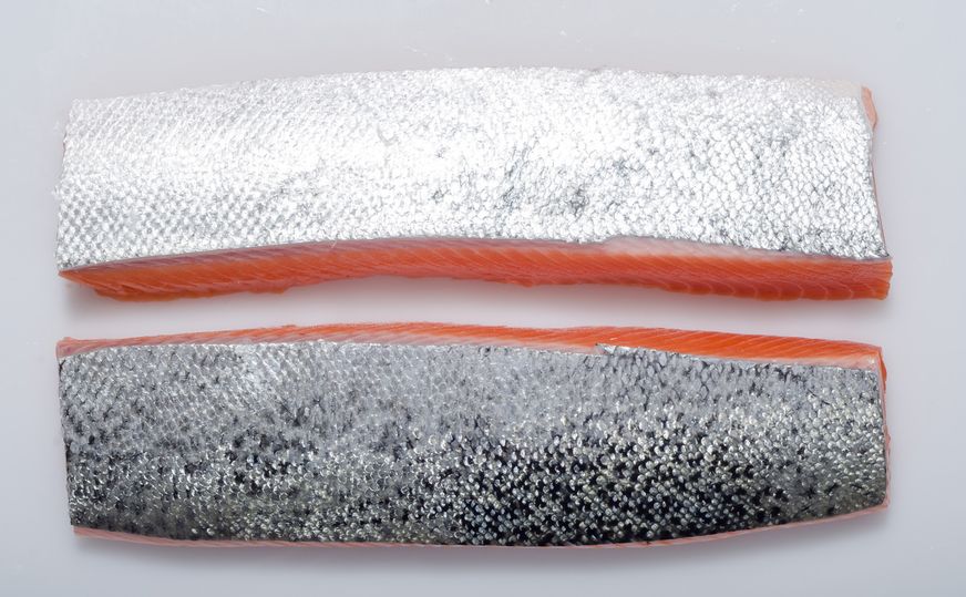 The richly-textured Ōra King is a seafood equivalent of fat-laced wagyu beef.