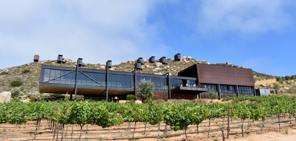 Encuentro Guadalupe, a 99-hectare winery and cattle ranch, is the valley’s most luxurious resort.