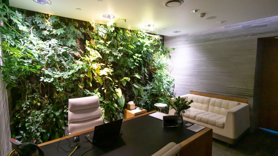 The spa reception in the Qantas Melbourne First Lounge.