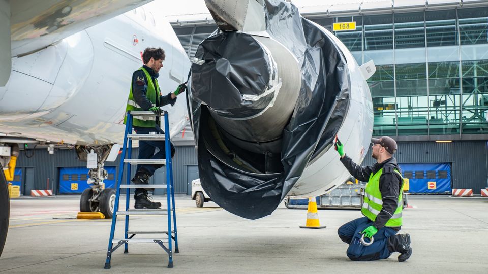 Birds will quickly nest in any cosy sheltered space, such as an engine nacelle.