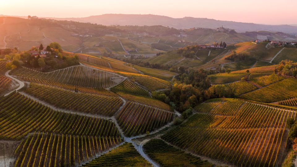 An aerial view of the hills of Le Langhe (Barolo) wine region in autumn.
