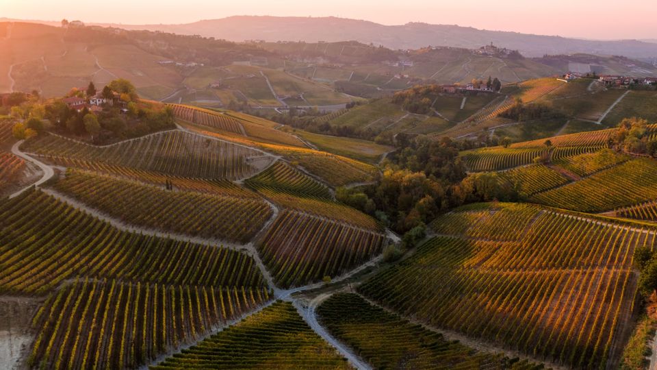 Aerial view over Le Langhe vineyards in autumn, Piedmont, Italy.