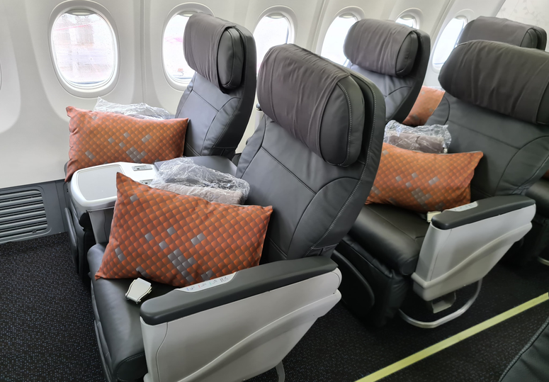 Singapore Airlines' Boeing 737 business class.
