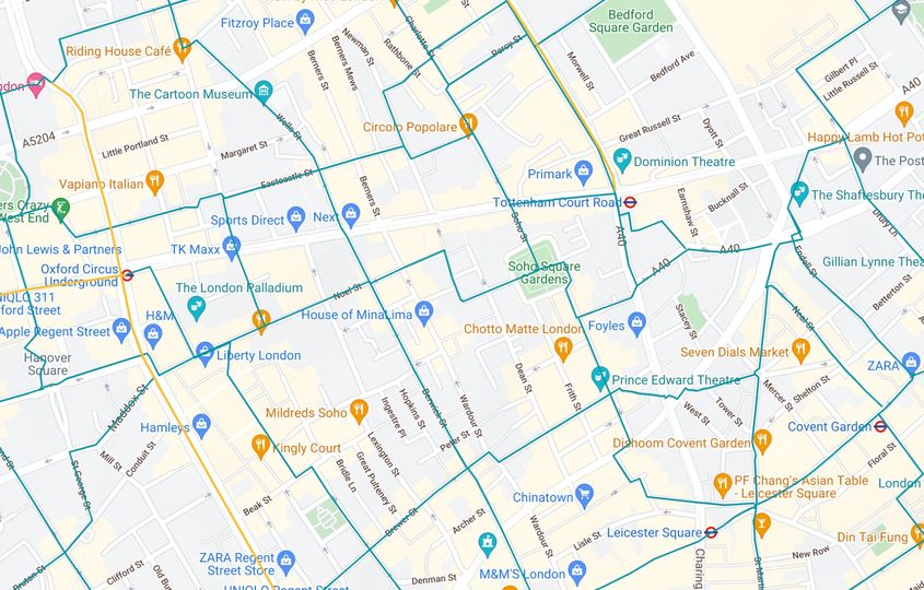 A screenshot from Footways’ online map, with preferred walking routes highlighted in blue.