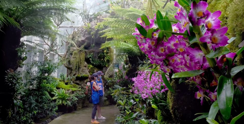 A couple visits the orchidetum at Singapore's National Orchid Garden.