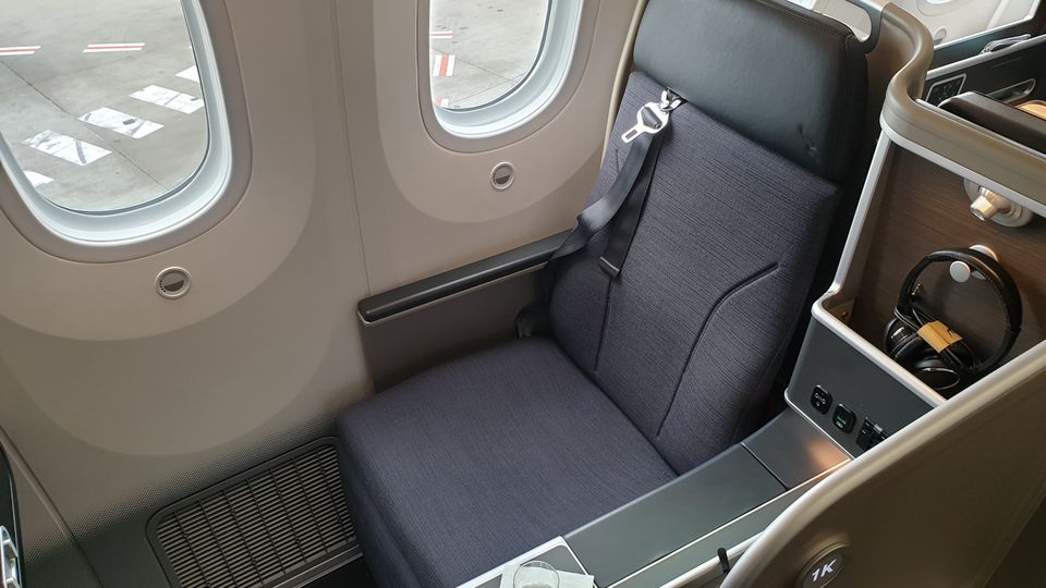 The Qantas Boeing 787-9 business class is a comfortable way to see Antarctica.