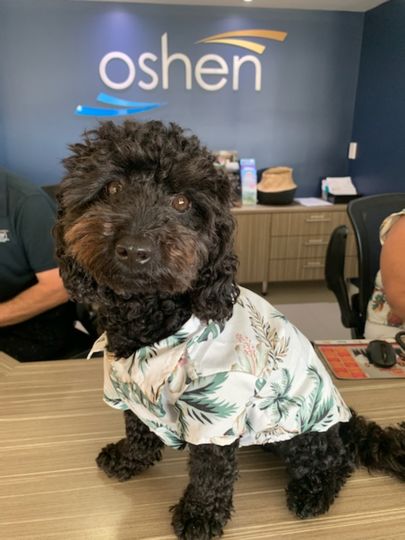 Mac is great at generating repeat business with many travellers returning just to see him