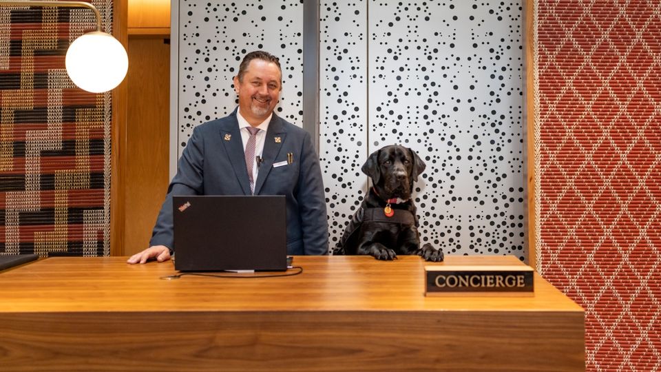 The Concierge team is noticing highly distracted guests whenever Beau is working the desk too