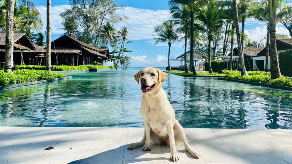 Emma's surrounds include the turquoise Gulf of Thailand