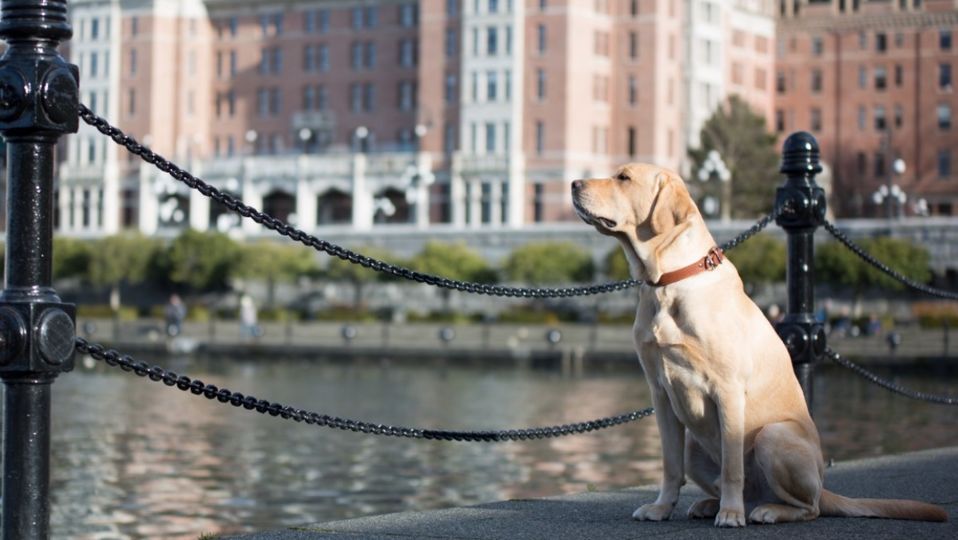 Winston can often be found gathering inspiration for his popular blog 'What's Up Winston?'