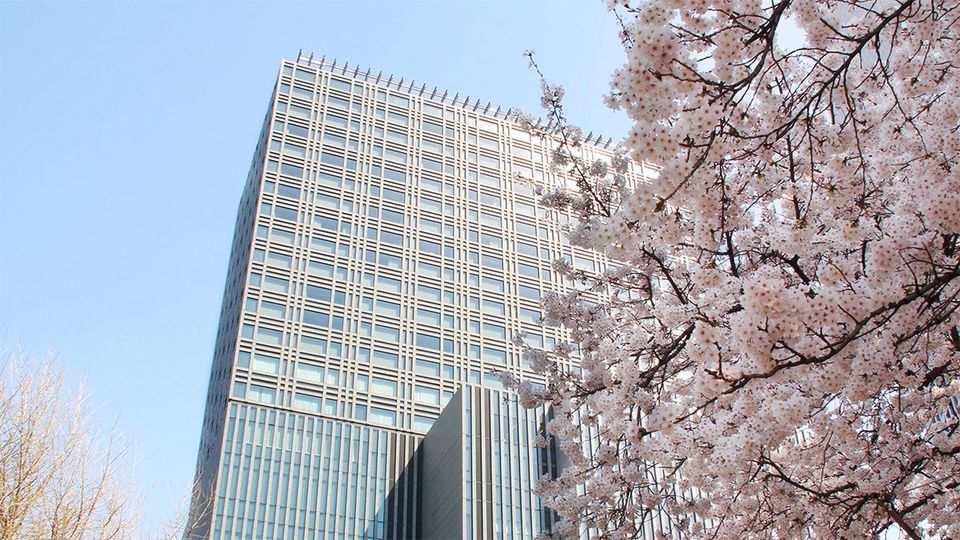 The surrounding area is one of the top cherry blossom locations in the city