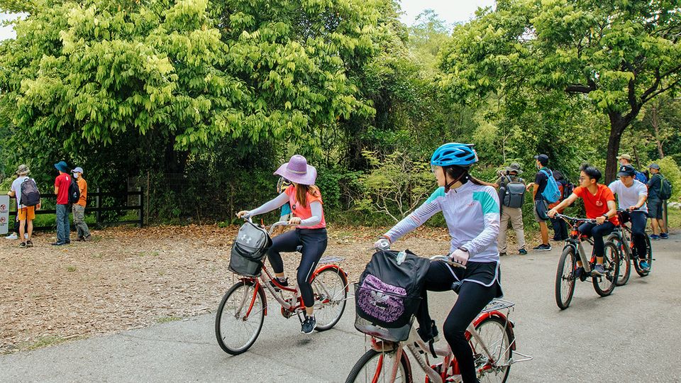 Pulau Ubin is Singapore's answer to Rottnest, with bicycles the only mode of transport.