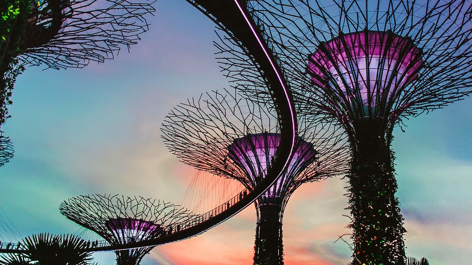 Gardens by the Bay's Supertrees are just one of Singapore's enchanting attractions.