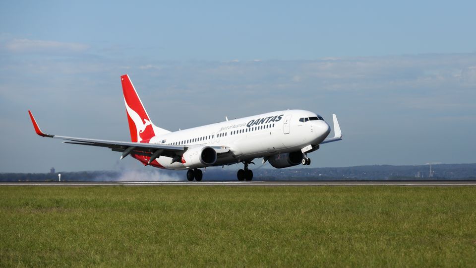 The Qantas Boeing 737 is the workhorse of the Red Roo's fleet.