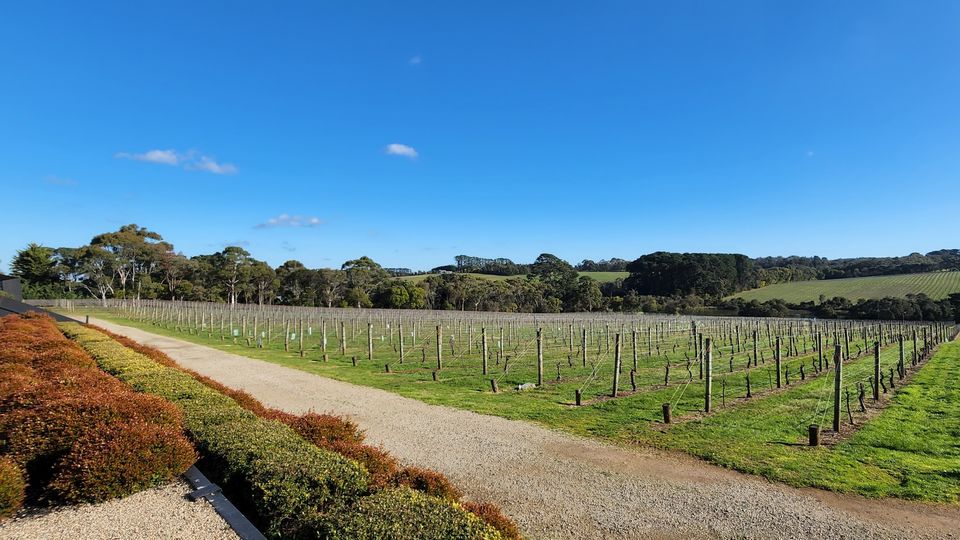 Breathe in the crisp regional air for an instant hit of relaxation.