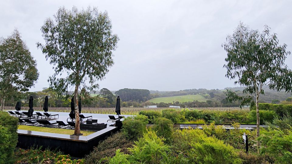 Even on a drizzly day, the pool looks serene and inviting.