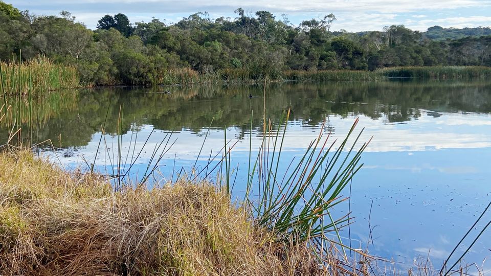 Make your own path by exploring beyond a nearby lake.