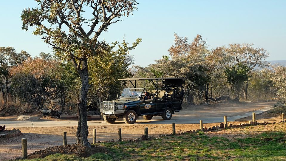 The open-air safari vehicle keeps you immersed within the natural environment.